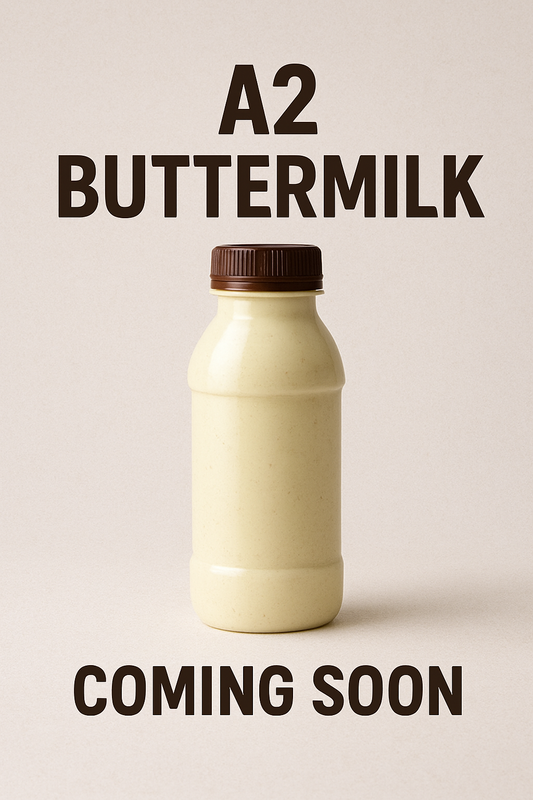 A2 Butter Milk